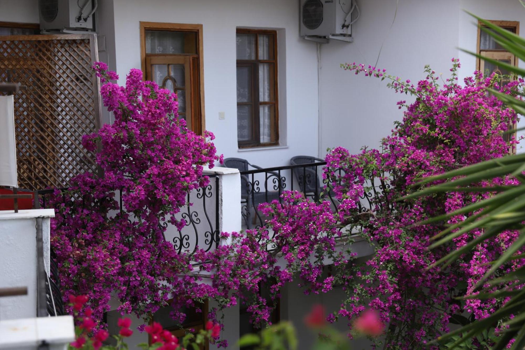 Yeni Doga Hotel Dalyan Exteriér fotografie